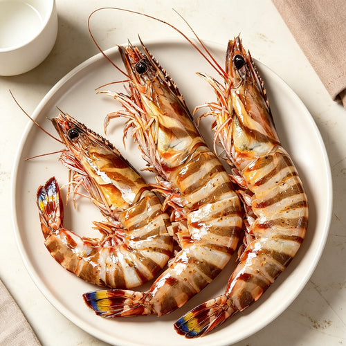 Fresh Raw Whole Tiger Prawns